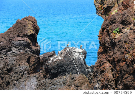 漢達姆步道，步行，海灘，沿海公路，海灘，海岸，熔岩，健康，步行， 90754599
