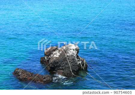 Handam trail, walking, beach, coastal road, beach, coast, lava, health, walking, Handam trail, walking, beach, coastal road, beach, coast, lava, health, walking, 90754603