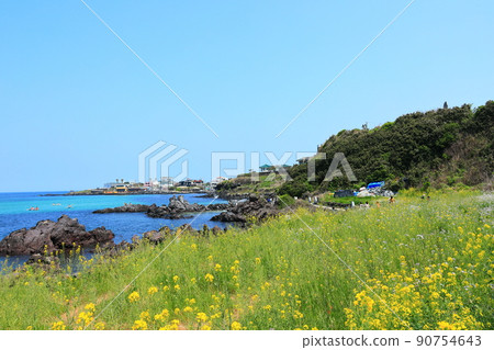 漢達姆步道,步行,海灘,沿海公路,海灘,海岸,熔岩,健康,步行, 漢達姆步道,步行,海灘,沿海公路,海灘,海岸,熔岩,健康,步行, 90754643