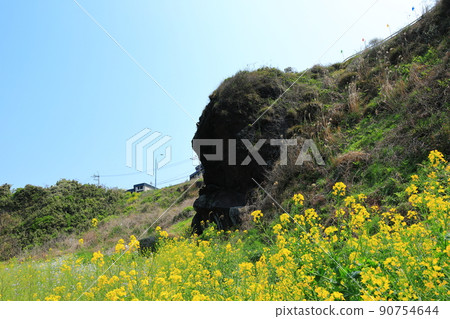 漢達姆步道,步行,海灘,沿海公路,海灘,海岸,熔岩,健康,步行, 漢達姆步道,步行,海灘,沿海公路,海灘,海岸,熔岩,健康,步行, 90754644