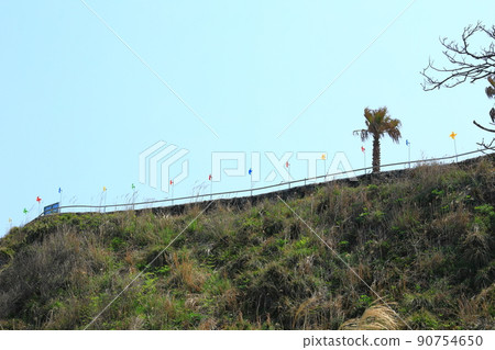 Handam trail, walking, beach, coastal road, beach, coast, lava, health, walking, Handam trail, walking, beach, coastal road, beach, coast, lava, health, walking, 90754650