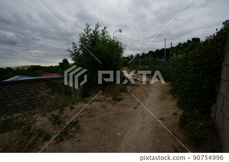 Jeongneunggol. Seongbuk-gu. In the garden. Alley. Summer flowers 90754996