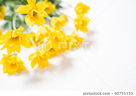 黃色花刻字背景素材 黃色花刻字背景素材 90755350