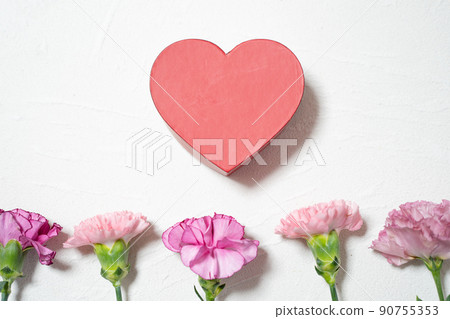 Carnation wallpaper that conveys gratitude Carnation wallpaper that conveys gratitude 90755353