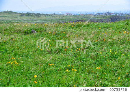 Ezokanzo community Ezokanzo community 90755756