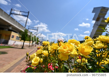 Roses in front of Yono Honmachi Station Roses in front of Yono Honmachi Station 90755805