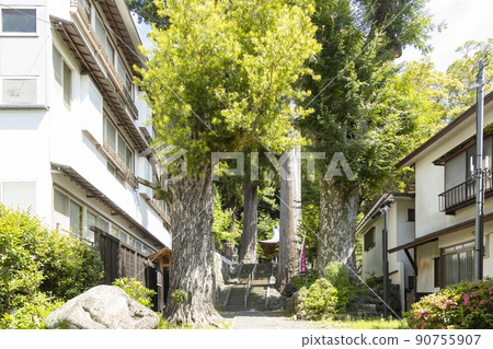 修善寺溫泉日枝神社 修善寺溫泉日枝神社 90755907