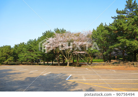 Manjanggul Cave, Natural Cave, Lava Cave, Jeju Island, Natural Cave, Healing, Summer Resort, Manjanggul Cave, Natural Cave, Lava Cave, Jeju Island, Natural Cave, Healing, Summer Resort, 90756494