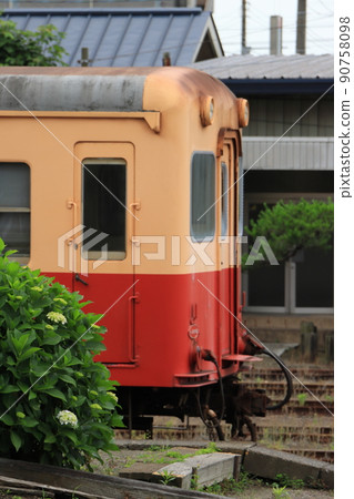 Hydrangea that has begun to bloom on the platform of Goi Station and Kominato Railway Kiha 200 diesel car_2022 / 6/11 Photographed Hydrangea that has begun to bloom on the platform of Goi Station and Kominato Railway Kiha 200 diesel car_2022 / 6/11 Photographed 90758098