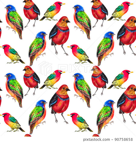 seamless pattern with hand draw wild birds seamless pattern with hand draw wild birds 90758658