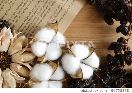 具有復古感的時尚乾花和外國書籍有機圖像材料可持續木紋 90758858