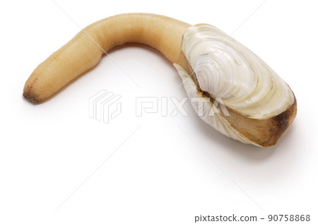 白磨坊 白磨坊 90758868