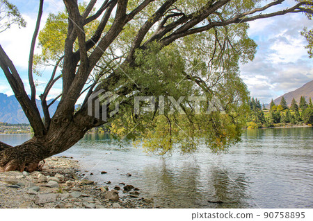 [Queenstown] Lake Wakatipu sunny 90758895