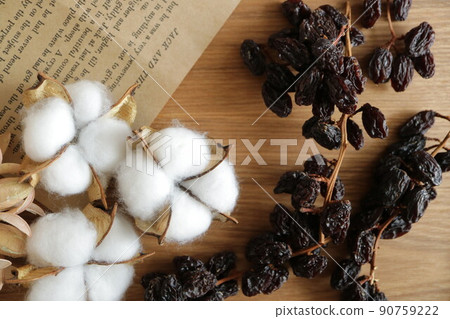 Candelabra raisins, additive-free ingredients, fashionable food ingredients 90759222