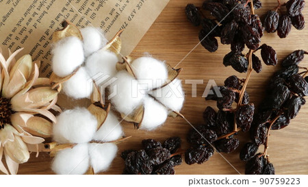 Sustainable and fashionable material, raisins with branches, cotton, cotton flowers, old books 90759223