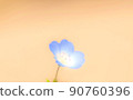 One wheel of Nemophila 90760396