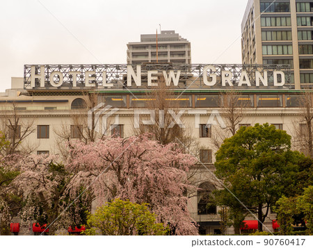 Sakura in front of Hotel New Grand 90760417
