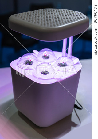 Device for growing microgreens Device for growing microgreens 90760478