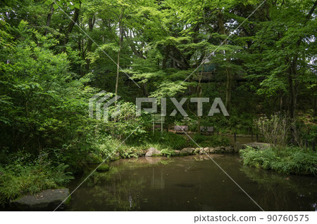 Otomeyama Park, Shinjuku-ku, Tokyo 90760575