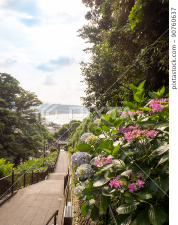 Joju-in Temple with a good view and hydrangea 90760637