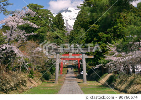 Hyakuzawa Terazawa, Hirosaki City, Aomori Prefecture, Iwakiyama Shrine, the second torii gate, the approach to the shrine, a row of cherry blossom trees, and Mt. Hyakuzawa Terazawa, Hirosaki City, Aomori Prefecture, Iwakiyama Shrine, the second torii gate, the approach to the shrine, a row of cherry blossom trees, and Mt. 90760674