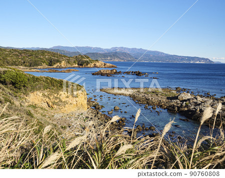 Winter in Tsumekizaki, Shimoda City, Shizuoka Prefecture, on the Izu Peninsula Winter in Tsumekizaki, Shimoda City, Shizuoka Prefecture, on the Izu Peninsula 90760808