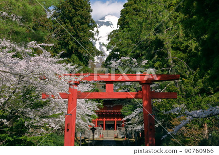 Hyakuzawa Terazawa, Hirosaki City, Aomori Prefecture North Gate Guardian Iwakiyama Shrine San-no Torii, the approach to the shrine, a row of cherry blossom trees, and the tower gate in the back 90760966