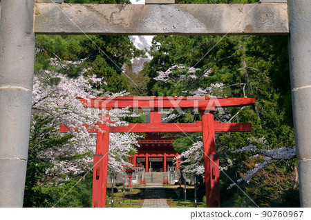 青森縣弘前市百澤寺澤北門守護者岩木山神社山之鳥居,參拜道,一排櫻花樹,後面的塔門 青森縣弘前市百澤寺澤北門守護者岩木山神社山之鳥居,參拜道,一排櫻花樹,後面的塔門 90760967