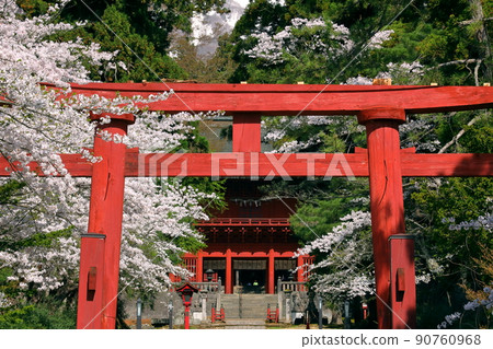 青森縣弘前市百澤寺澤北門守護者岩木山神社山之鳥居,參拜道,一排櫻花樹,後面的塔門 青森縣弘前市百澤寺澤北門守護者岩木山神社山之鳥居,參拜道,一排櫻花樹,後面的塔門 90760968
