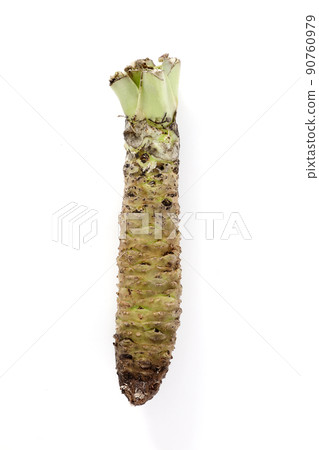 wasabi  90760979