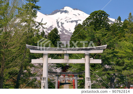 青森縣弘前市百澤寺澤北門守護者岩木山神社從前面，一野鳥居，神社的入口，一排櫻花樹和山。 90762814