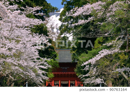 Hyakuzawa Terazawa, Hirosaki City, Aomori Prefecture North Gate Guardian Iwakiyama Shrine Important Cultural Property Building Romon and Mt. Iwaki with snow in the back Hyakuzawa Terazawa, Hirosaki City, Aomori Prefecture North Gate Guardian Iwakiyama Shrine Important Cultural Property Building Romon and Mt. Iwaki with snow in the back 90763164