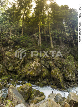 Kamianka river at the Carpathian mountains Kamianka river at the Carpathian mountains 90763513