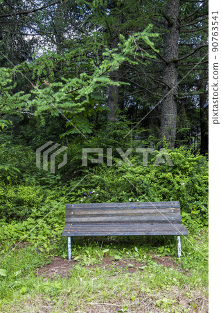 old wooden bench in abandoned park old wooden bench in abandoned park 90763541