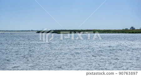 Danube delta with flock of white pelicans, Odessa region, Ukraine 90763897