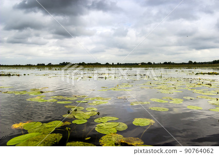 a Ostriv'yanske lake of Shatsky Lakes group, Ukraine a Ostriv'yanske lake of Shatsky Lakes group, Ukraine 90764062