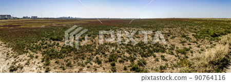 Eastern Syvash lanscape Eastern Syvash lanscape 90764116