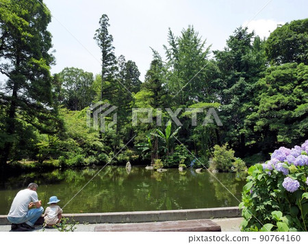 Grandfather and grandson enjoying Onosensui Park in early summer (Uekimachi, Kumamoto City) Grandfather and grandson enjoying Onosensui Park in early summer (Uekimachi, Kumamoto City) 90764160