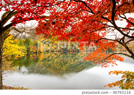 [栃木縣奧日光] 10 月在湯野湖閃耀的紅葉季節 90765216