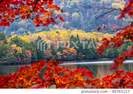 [栃木縣奧日光] 10 月在湯野湖閃耀的紅葉季節 90765227