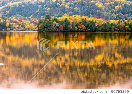[栃木縣奧日光] 10 月在湯野湖閃耀的紅葉季節 90765229