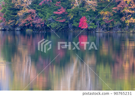 [栃木縣奧日光] 10 月在湯野湖閃耀的紅葉季節 90765231