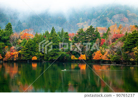 [Oku-Nikko, Tochigi Prefecture] The season of autumn leaves that shines in Yuno Lake October 90765237