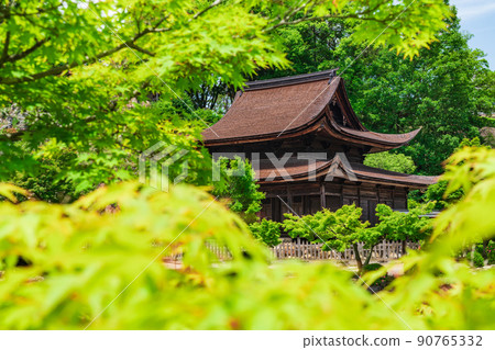 新鮮的綠色 Kokeizan Eihoji Temple <岐阜縣多治見市> 90765332