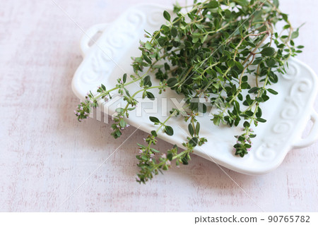 Herbs fresh lemon thyme Herbs fresh lemon thyme 90765782