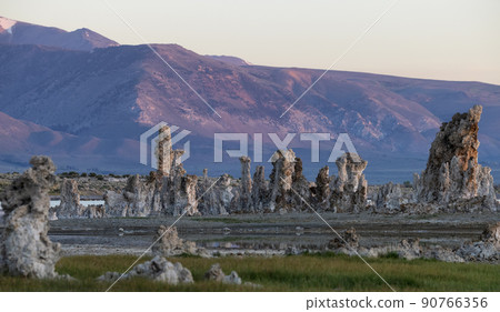 Tufa towers rock formation in Mono Lake. Sunny Sunrise 90766356
