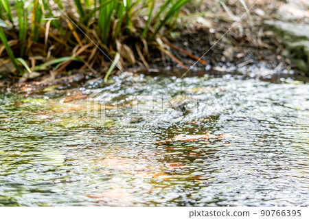 Flow of stream Flow of stream 90766395