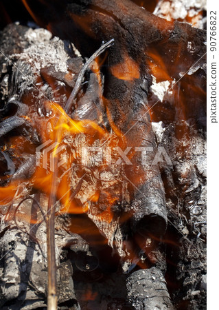 orange flame of fire while burning branches and firewood orange flame of fire while burning branches and firewood 90766822