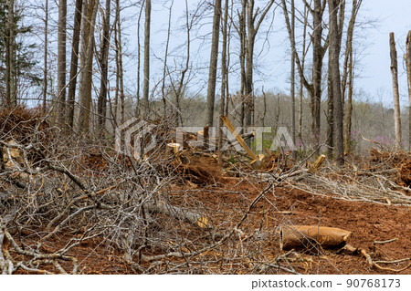 Land cleared in forest for new home construction 90768173