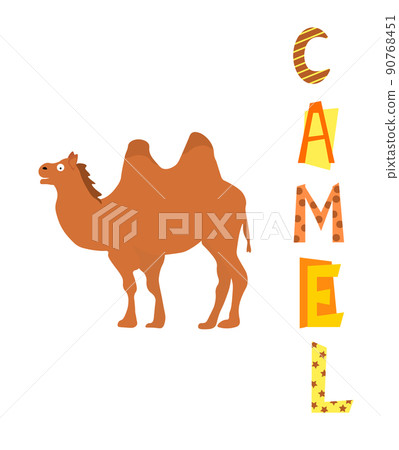 Camel card. Postcard template with lettering. 90768451